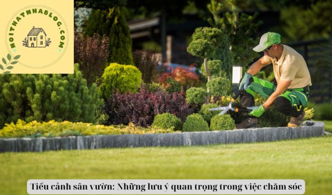 Tiểu cảnh sân vườn: Những lưu ý quan trọng trong việc chăm sóc